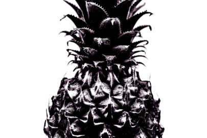 Close-Up Of Pineapple. Black and white - slon.pics - free stock photos and illustrations