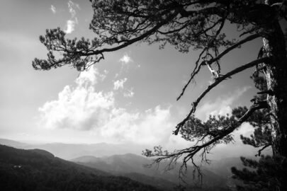 Mountain View. Black and white image - slon.pics - free stock photos and illustrations