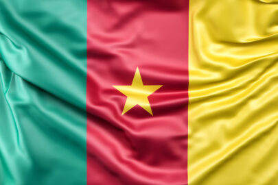 Flag of Cameroon - slon.pics - free stock photos and illustrations