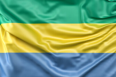 Flag of Gabon - slon.pics - free stock photos and illustrations