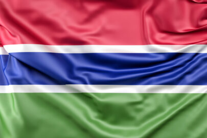 Flag of Gambia - slon.pics - free stock photos and illustrations