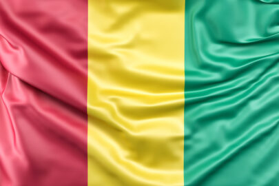 Flag of Guinea - slon.pics - free stock photos and illustrations