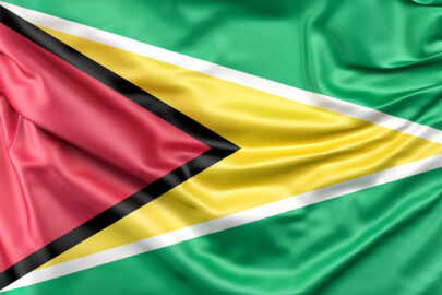 Flag of Guyana - slon.pics - free stock photos and illustrations