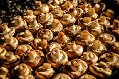 Grilled mushrooms - slon.pics - free stock photos and illustrations