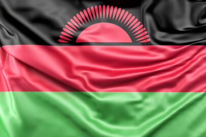 Flag of Malawi - slon.pics - free stock photos and illustrations