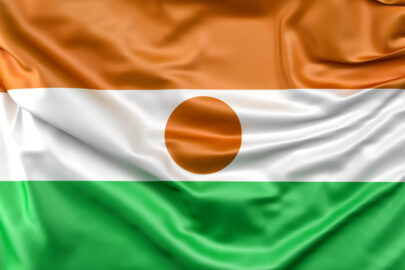 Flag of Niger - slon.pics - free stock photos and illustrations