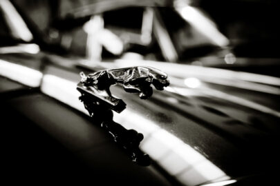 Prancing Cat on the bonnet of a Jaguar Car - slon.pics - free stock photos and illustrations
