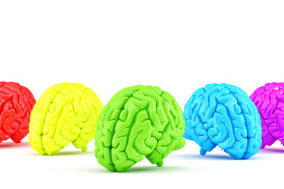 Colored human brains. Creative concept. 3D illustration. Isolated. Contains clipping path - slon.pics - free stock photos and illustrations