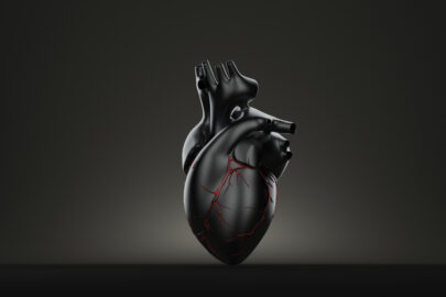 Dark human heart. 3D illustration. Contains clipping path - slon.pics - free stock photos and illustrations