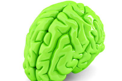 Green human brain. 3D illustration. Isolated. Contains clipping path - slon.pics - free stock photos and illustrations