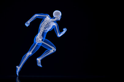 Running skeleton. Contains clipping path. - slon.pics - free stock photos and illustrations