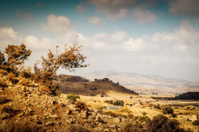 Scant and dry rocky mediterranean landscape - slon.pics - free stock photos and illustrations