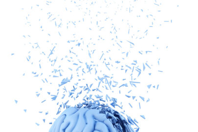 Shattered human brain. Isolated - slon.pics - free stock photos and illustrations