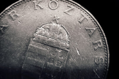 Ten Hungarian Forint coin. Macro - slon.pics - free stock photos and illustrations