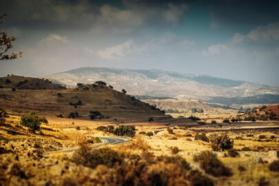 Yellow hills and bushes. Mediterranean landscape - slon.pics - free stock photos and illustrations