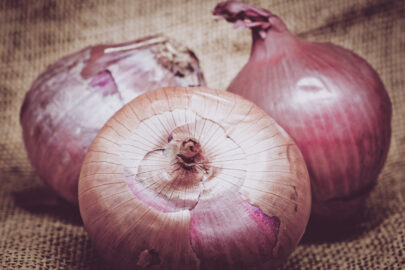 Onions on burlap - slon.pics - free stock photos and illustrations