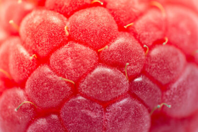 Raspberry close-up - slon.pics - free stock photos and illustrations