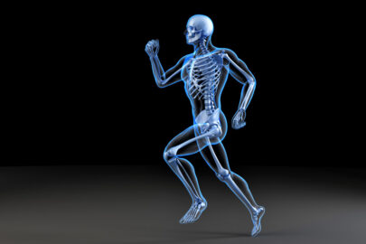Running skeleton. Anatomical 3D illustration - slon.pics - free stock photos and illustrations