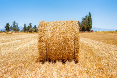 Close up of a hay straw bale on a field - slon.pics - free stock photos and illustrations