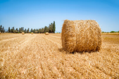 Hay bale on a summers day - slon.pics - free stock photos and illustrations