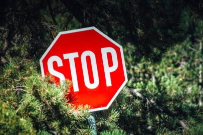 STOP sign in a woods - slon.pics - free stock photos and illustrations