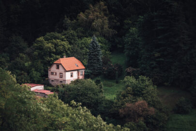 Lonely small house on the edge of the forest - slon.pics - free stock photos and illustrations