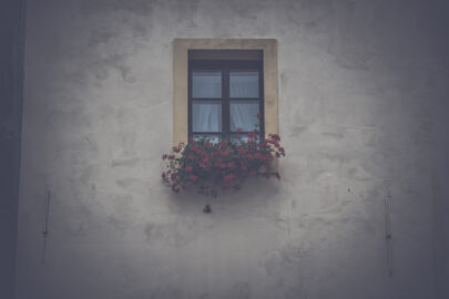 Window with flowers in box - slon.pics - free stock photos and illustrations