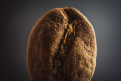 Single coffee bean. Extremely shallow depth of field - slon.pics - free stock photos and illustrations