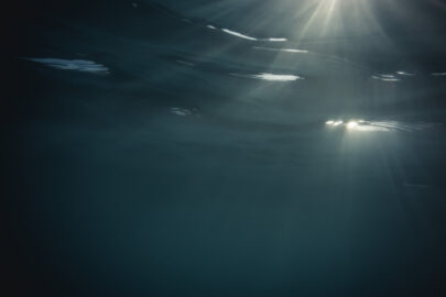 Underwater rays - slon.pics - free stock photos and illustrations